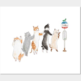 Conga Line Cats Posters and Art